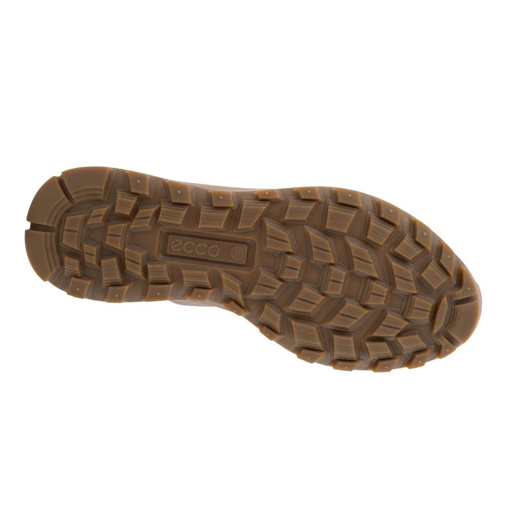 Women's Ecco Exostrike Low Boots Brown | USA 12QMA